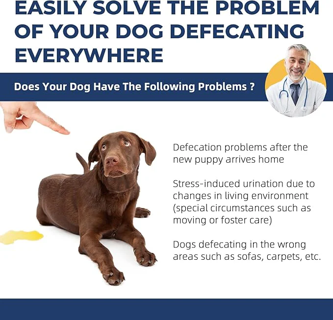 Potty Training Spray for Pets - Image 3
