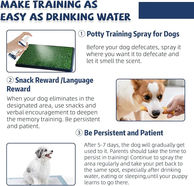 Potty Training Spray for Pets - Image 5
