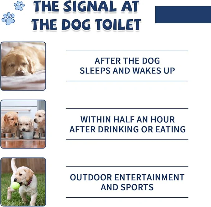 Potty Training Spray for Pets - Image 7